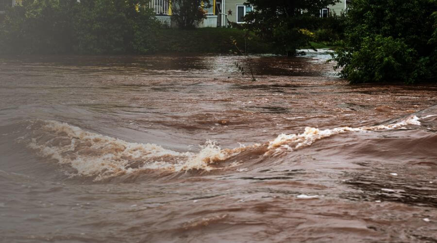 Why choose BlueEdge Team for water damage restoration in Acton